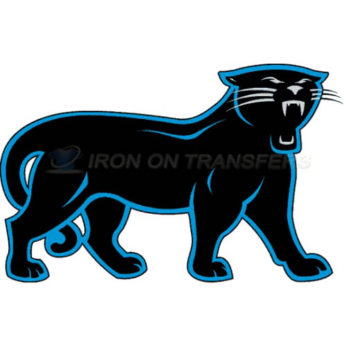 Carolina Panthers Iron-on Stickers (Heat Transfers)NO.439